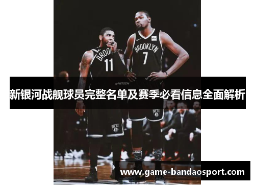 新银河战舰球员完整名单及赛季必看信息全面解析