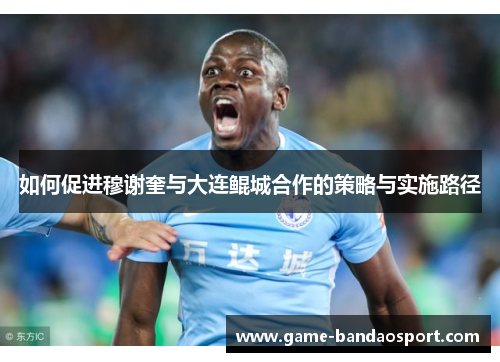 如何促进穆谢奎与大连鲲城合作的策略与实施路径