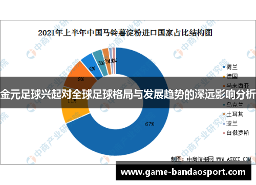 金元足球兴起对全球足球格局与发展趋势的深远影响分析