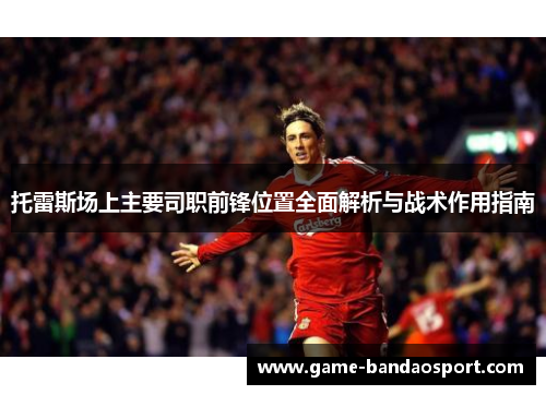 托雷斯场上主要司职前锋位置全面解析与战术作用指南