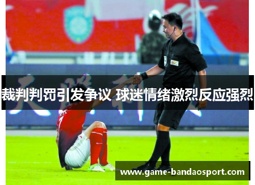 裁判判罚引发争议 球迷情绪激烈反应强烈